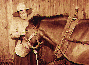 Calamity Jane